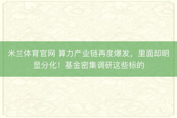 米兰体育官网 算力产业链再度爆发，里面却明显分化！基金密集调研这些标的
