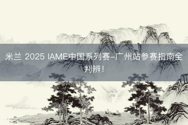 米兰 2025 IAME中国系列赛-广州站参赛指南全判辨！