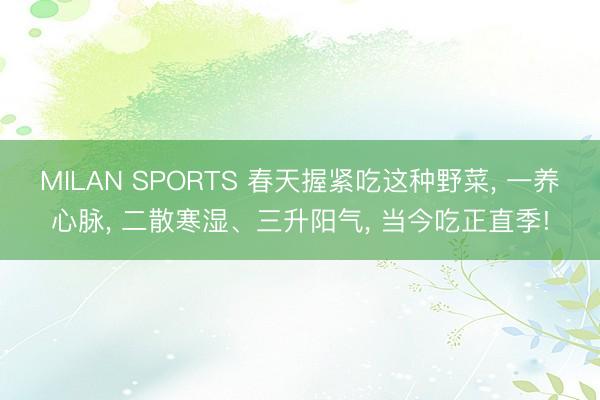 MILAN SPORTS 春天握紧吃这种野菜， 一养心脉， 二散寒湿、三升阳气， 当今吃正直季!