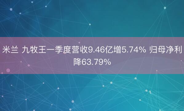 米兰 九牧王一季度营收9.46亿增5.74% 归母净利降63.79%