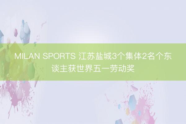 MILAN SPORTS 江苏盐城3个集体2名个东谈主获世界五一劳动奖