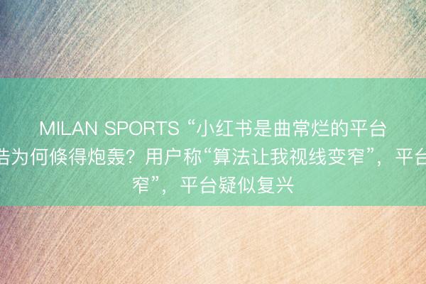 MILAN SPORTS “小红书是曲常烂的平台” 追觅俞浩为何倏得炮轰？用户称“算法让我视线变窄”，平台疑似复兴