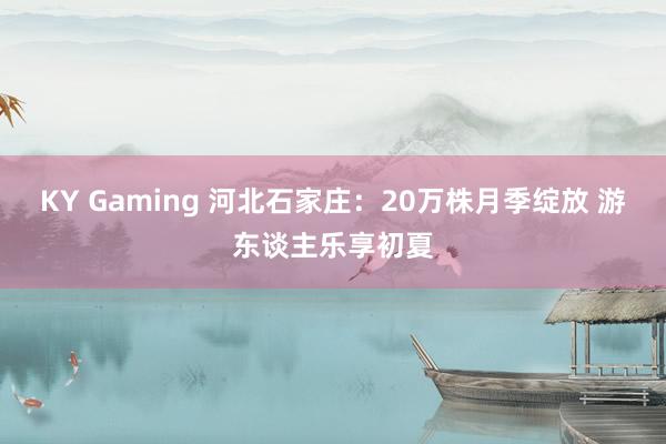 KY Gaming 河北石家庄:20万株月季绽放 游东谈主乐享初夏