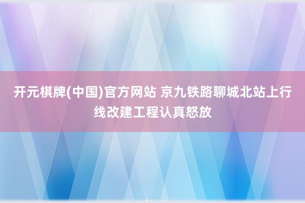 开元棋牌(中国)官方网站 京九铁路聊城北站上行线改建工程认真怒放