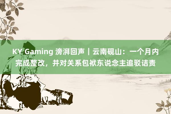 KY Gaming 滂湃回声｜云南砚山：一个月内完成整改，并对关系包袱东说念主追驳诘责