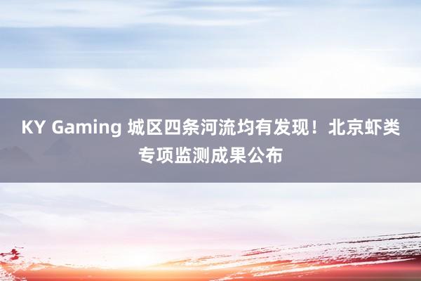 KY Gaming 城区四条河流均有发现！北京虾类专项监测成果公布