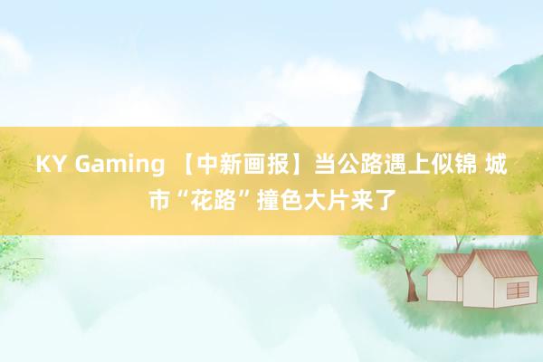 KY Gaming 【中新画报】当公路遇上似锦 城市“花路”撞色大片来了