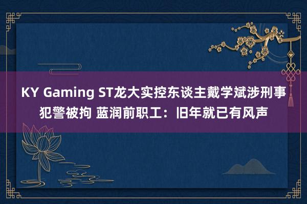 KY Gaming ST龙大实控东谈主戴学斌涉刑事犯警被拘 蓝润前职工：旧年就已有风声