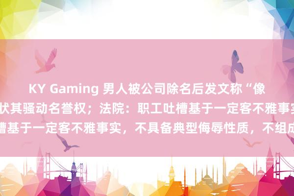 KY Gaming 男人被公司除名后发文称“像只待宰的羔羊”，公司告状其骚动名誉权；法院：职工吐槽基于一定客不雅事实，不具备典型侮辱性质，不组成侵权