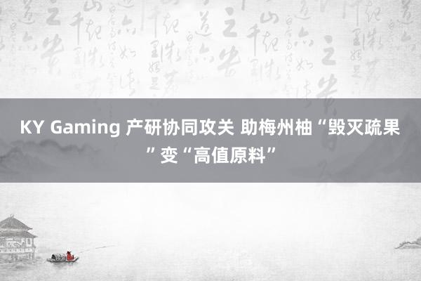 KY Gaming 产研协同攻关 助梅州柚“毁灭疏果”变“高值原料”
