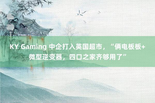 KY Gaming 中企打入英国超市，“俩电板板+微型逆变器，四口之家齐够用了”