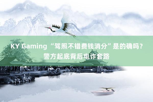 KY Gaming “驾照不错费钱消分”是的确吗？警方起底背后电诈套路