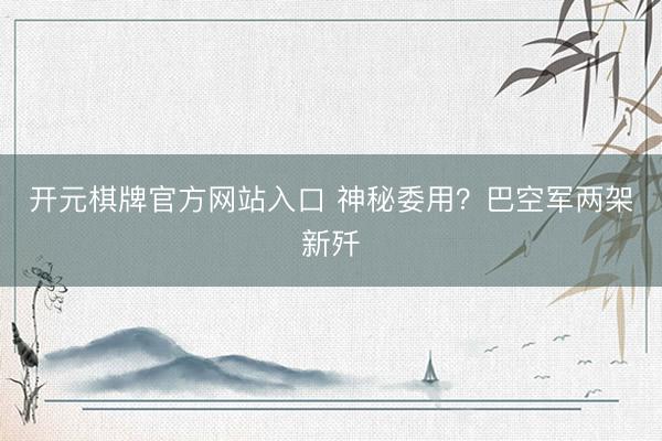 开元棋牌官方网站入口 神秘委用？巴空军两架新歼