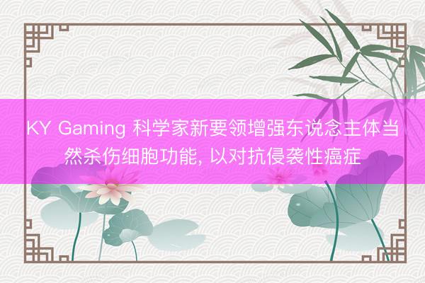 KY Gaming 科学家新要领增强东说念主体当然杀伤细胞功能, 以对抗侵袭性癌症