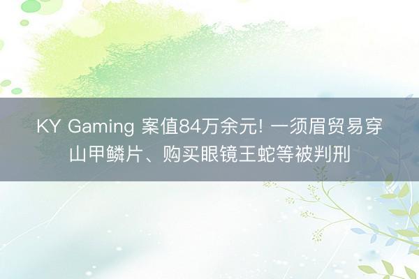KY Gaming 案值84万余元! 一须眉贸易穿山甲鳞片、购买眼镜王蛇等被判刑