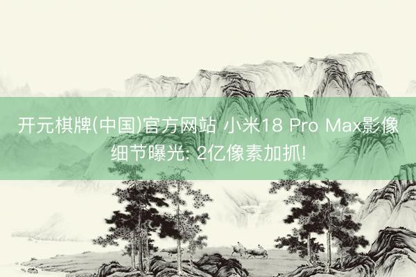 开元棋牌(中国)官方网站 小米18 Pro Max影像细节曝光: 2亿像素加抓!