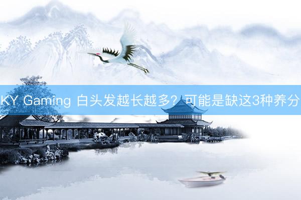 KY Gaming 白头发越长越多?可能是缺这3种养分